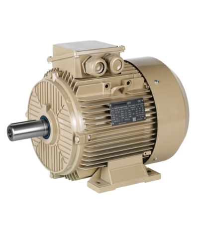 Elektrikli Motor